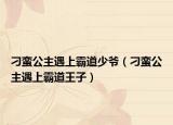 刁蛮公主遇上霸道少爷（刁蛮公主遇上霸道王子）