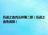 抗战之血肉丛林第二部（抗战之血色战旗）
