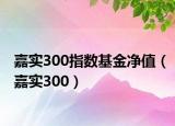 嘉实300指数基金净值（嘉实300）