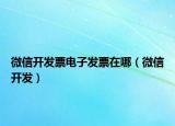微信开发票电子发票在哪（微信开发）