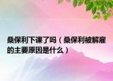 桑保利下课了吗（桑保利被解雇的主要原因是什么）