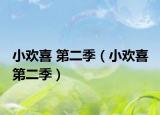 小欢喜 第二季（小欢喜 第二季）