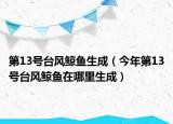第13号台风鲸鱼生成（今年第13号台风鲸鱼在哪里生成）