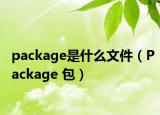 package是什么文件（Package 包）