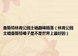 查斯特林肯公园主唱巅峰陨落（林肯公园主唱查斯特嗓子是不是世界上最好的）