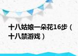 十八姑娘一朵花16步（十八禁游戏）
