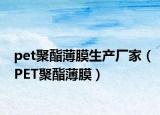 pet聚酯薄膜生产厂家（PET聚酯薄膜）