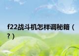 f22战斗机怎样调秘籍（?）