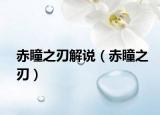 赤瞳之刃解说（赤瞳之刃）