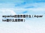 aquarius的意思是什么（Aquarius是什么意思啊）
