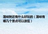 蒲岐附近有什么好玩的（蒲岐有哪几个景点可以游览）