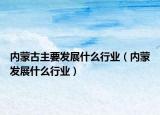 内蒙古主要发展什么行业（内蒙发展什么行业）