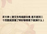 求大神（谢文东电视剧全集 是不是到三十四集就禁播了啊好像看看下面演什么）