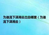 为谁流下潇湘去出自哪里（为谁流下潇湘去）