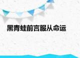 黑青蛙前言服从命运