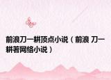 前浪刀一耕顶点小说（前浪 刀一耕著网络小说）