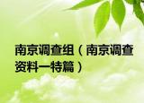 南京调查组（南京调查资料一特篇）