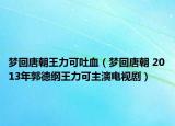 梦回唐朝王力可吐血（梦回唐朝 2013年郭德纲王力可主演电视剧）