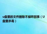 u盘里的文件删除不掉咋回事（U盘里杀毒）
