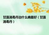甘露消毒丹治什么病最好（甘露消毒丹）