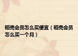 稻壳会员怎么买便宜（稻壳会员怎么买一个月）