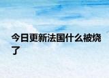 今日更新法国什么被烧了