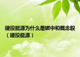建投能源为什么是碳中和概念股（建投能源）