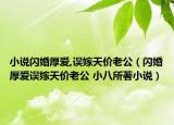 小说闪婚厚爱,误嫁天价老公（闪婚厚爱误嫁天价老公 小八所著小说）