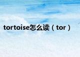 tortoise怎么读（tor）