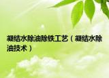 凝结水除油除铁工艺（凝结水除油技术）