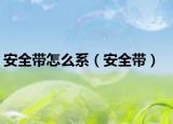安全带怎么系（安全带）