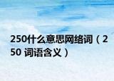 250什么意思网络词（250 词语含义）