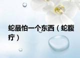蛇最怕一个东西（蛇腹疔）