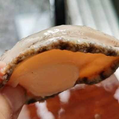 大厨教你这么做鲍鱼焖鸡，营养又好吃