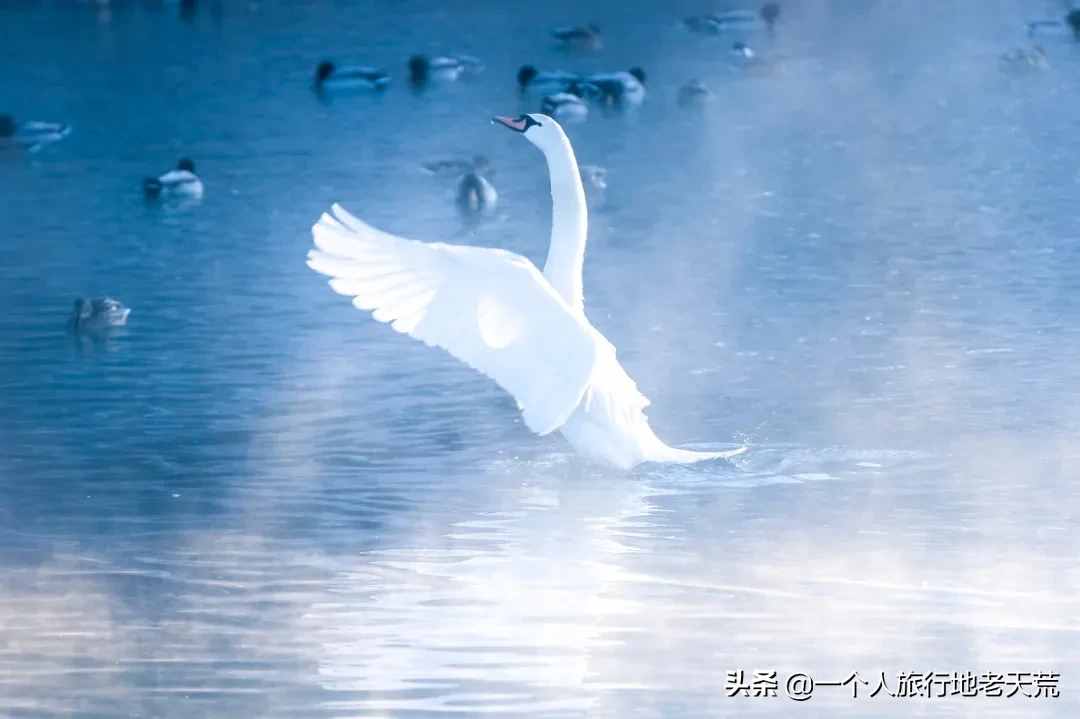 11月，全国最美的20个地方，哪个最让你心动