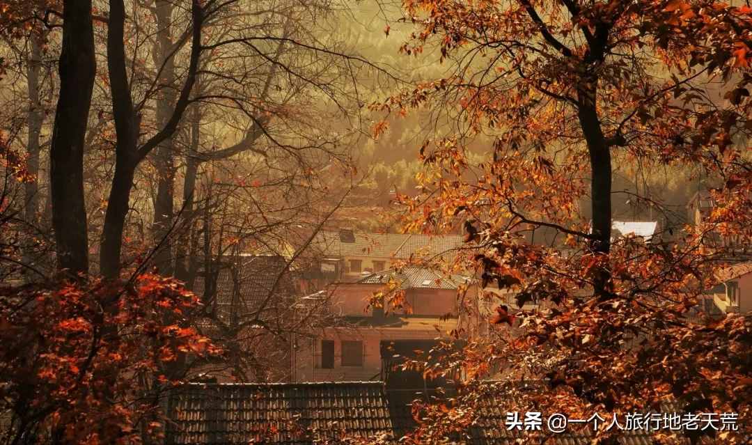 11月，全国最美的20个地方，哪个最让你心动