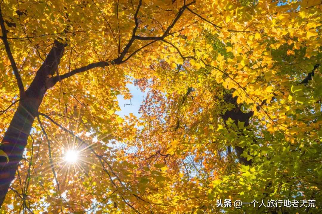 11月，全国最美的20个地方，哪个最让你心动
