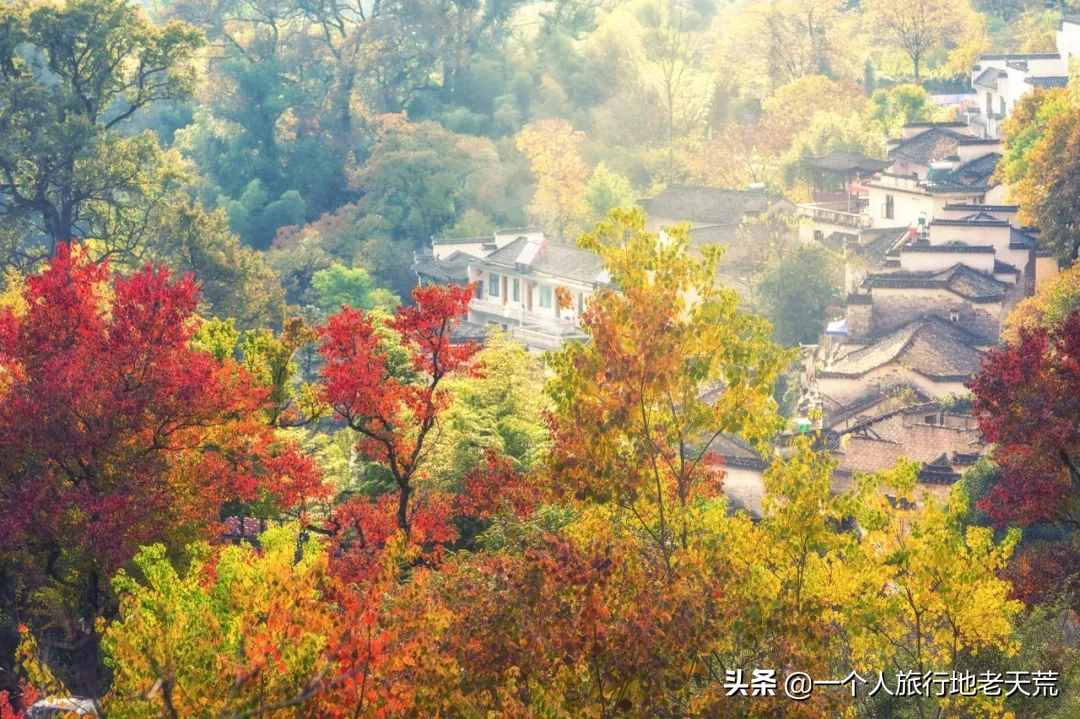 11月，全国最美的20个地方，哪个最让你心动