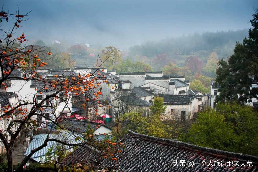 11月，全国最美的20个地方，哪个最让你心动