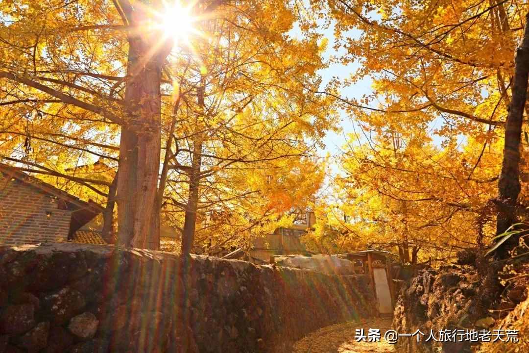 11月，全国最美的20个地方，哪个最让你心动