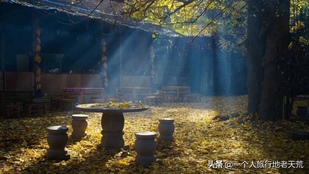 11月，全国最美的20个地方，哪个最让你心动