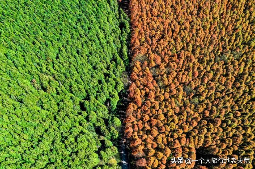 11月，全国最美的20个地方，哪个最让你心动