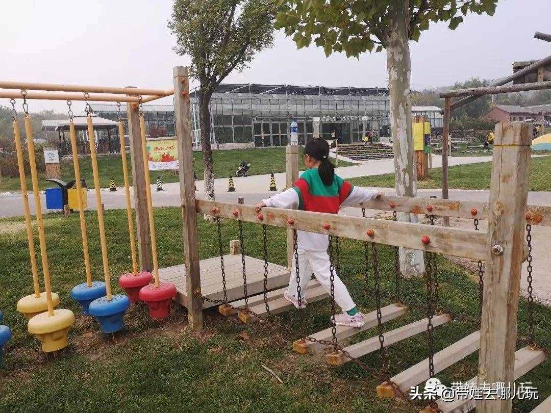 住别墅、滚草坪、躺在床上看电影，密云轻奢营地的花样玩法