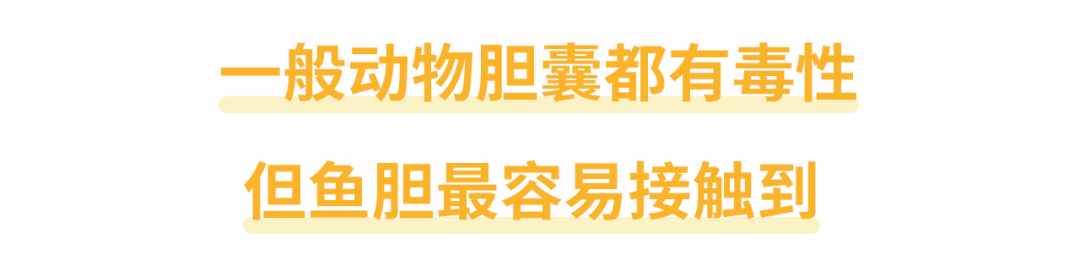 还有人不知道吗？鱼胆不是治病偏方，它有毒