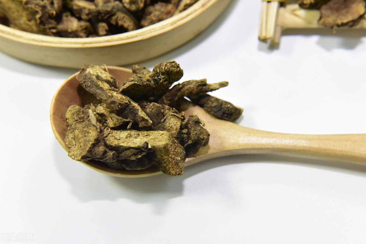 苍术的功效与作用？祛湿健脾，还能减掉啤酒肚