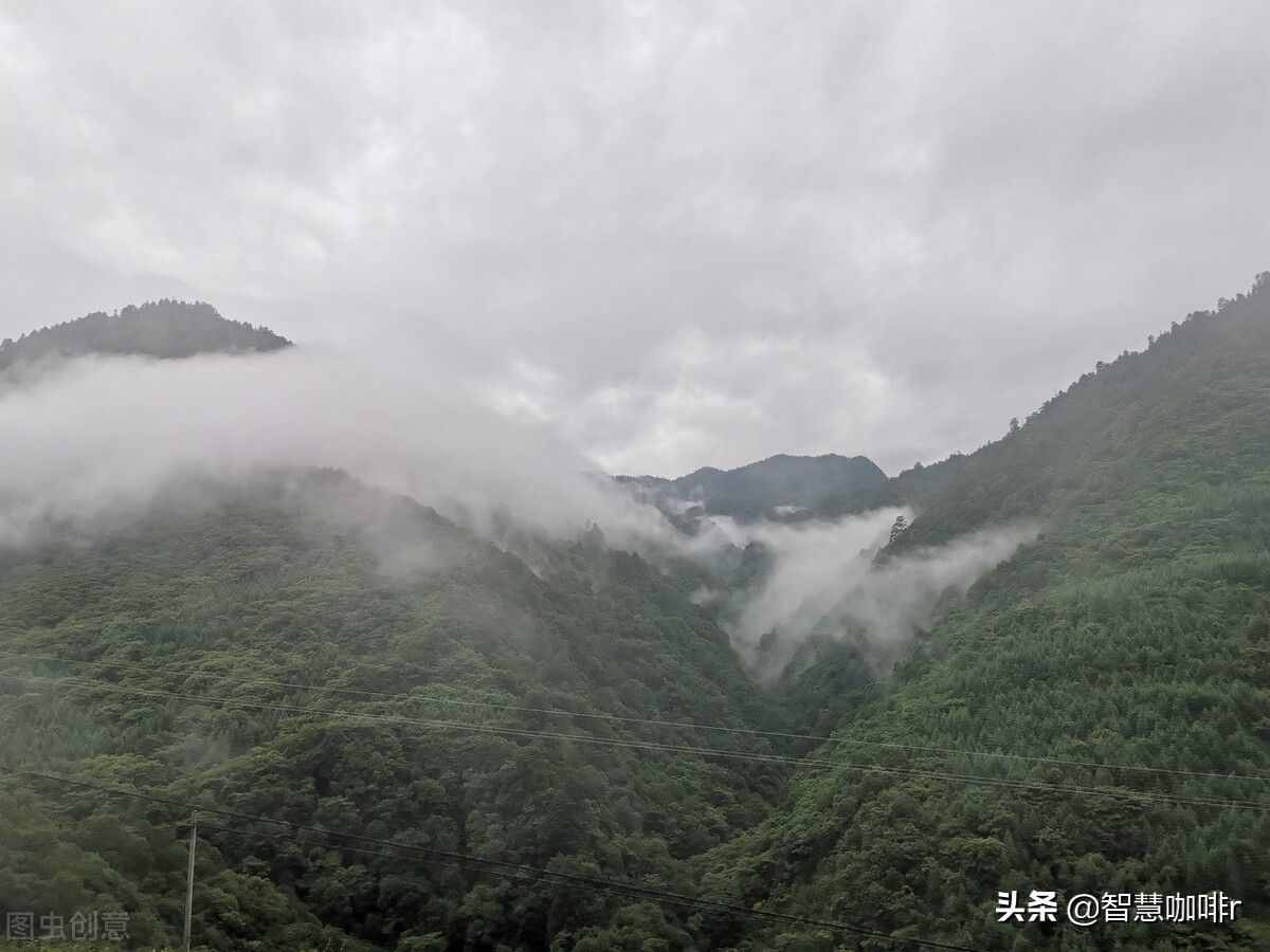 曾经被誉为中国的百慕大，神秘的黑竹沟，如今成为迷人的旅游景区