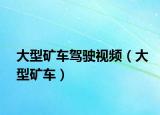 大型矿车驾驶视频（大型矿车）