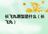 长飞丸原型是什么（长飞丸）