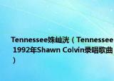 Tennessee姝屾洸（Tennessee 1992年Shawn Colvin录唱歌曲）