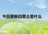 今日更新白垩土是什么